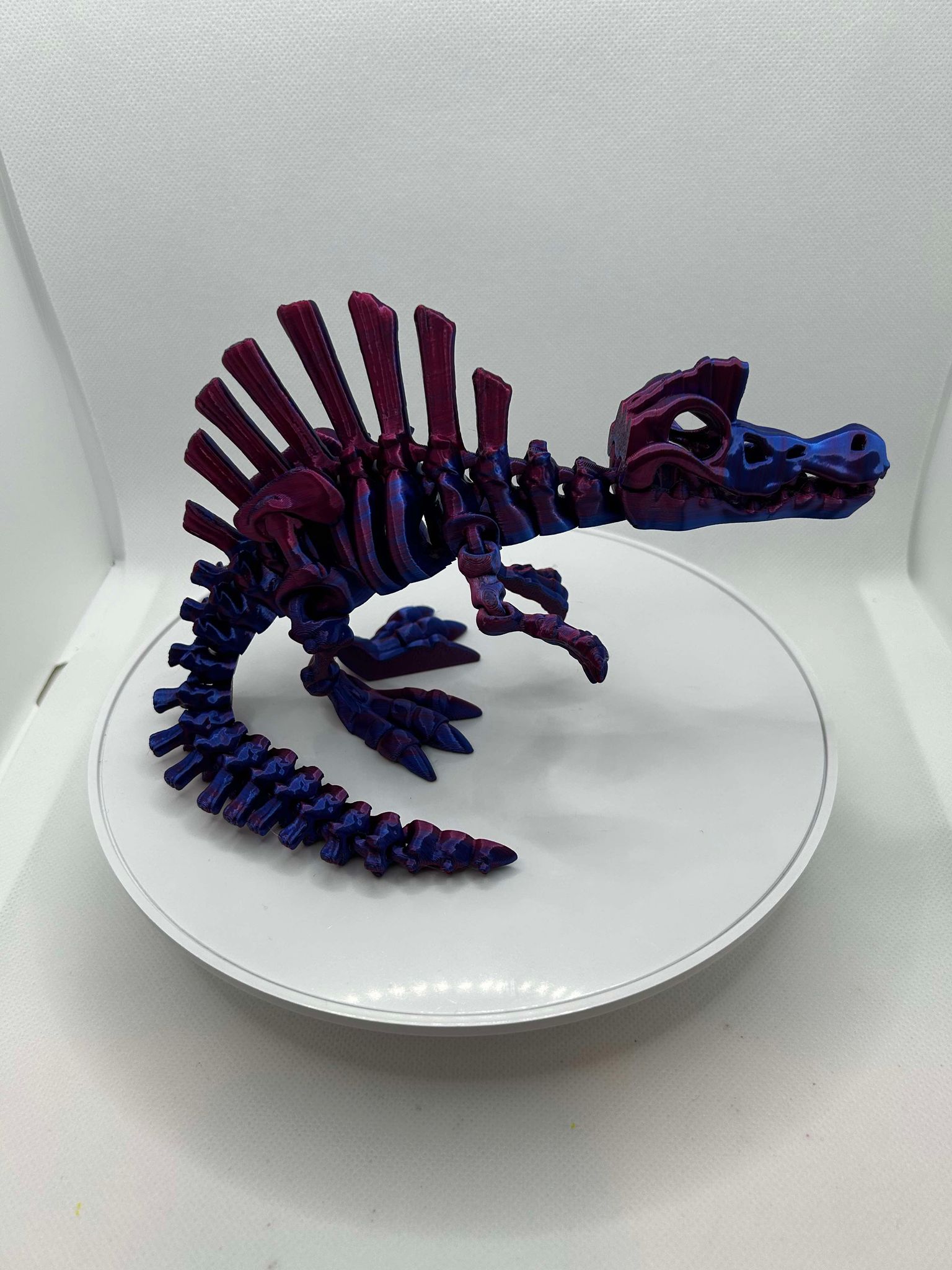 Spinosaurus, Skeleton dinosaur, 3d printed dino, ottawa, orleans, canada, shipping, coloured